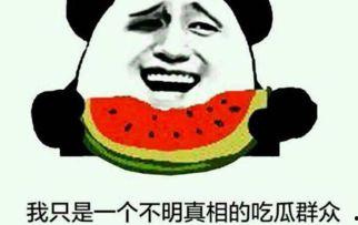 吃瓜群众来历视频,一场网络文化的演变之旅