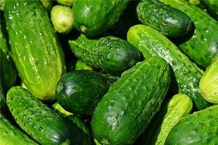 梦见吃瓜是生的,生瓜之梦的寓意与启示