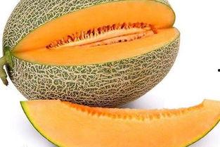 哈密瓜孕初期可以吃吗,孕初期孕妇适宜食用哈密瓜的益处与注意事项