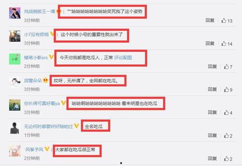 吃瓜所有账号,一场网络狂欢的幕后真相
