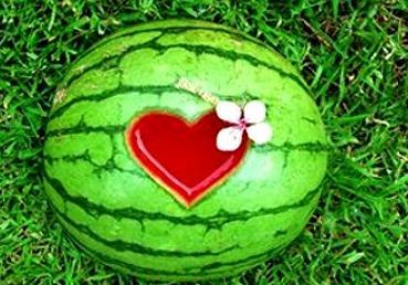 梦见自己在瓜地摘瓜吃,瓜地摘瓜，品味丰收喜悦