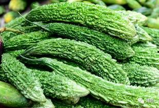 吃瓜苦中苦,品味人生百态