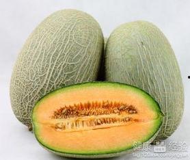 吃海带可以吃哈密瓜吗,健康搭配的奇妙组合