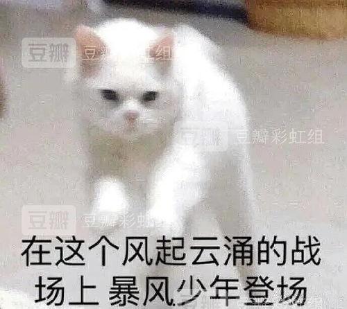 理智吃瓜人,揭秘网络舆论背后的真相